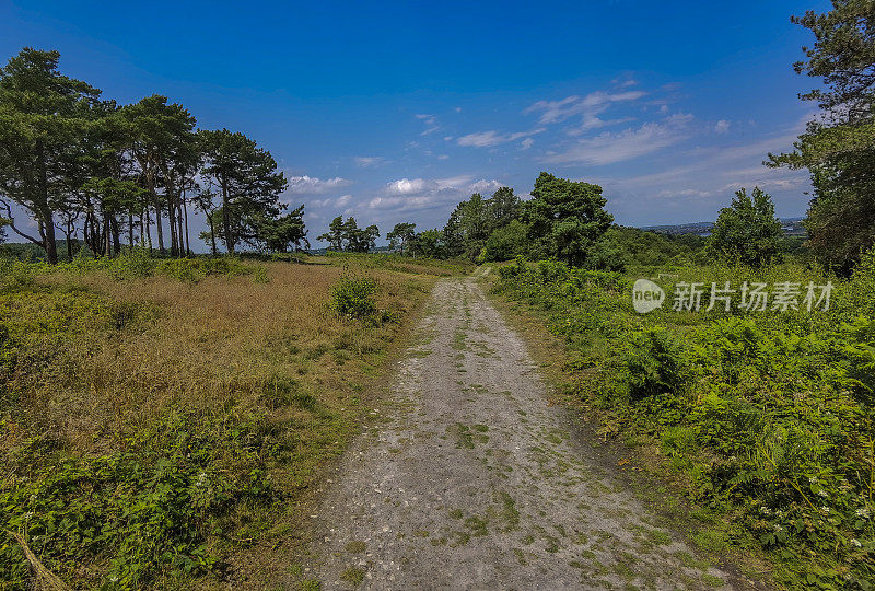 希思兰国家公园风景秀丽的利基山西米德兰兹英国