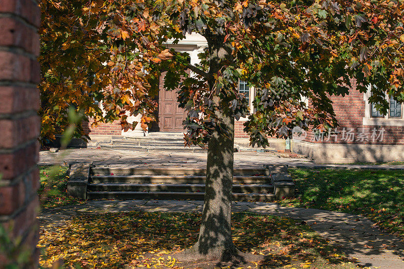 古风建筑以秋叶组成，仿空间背景。