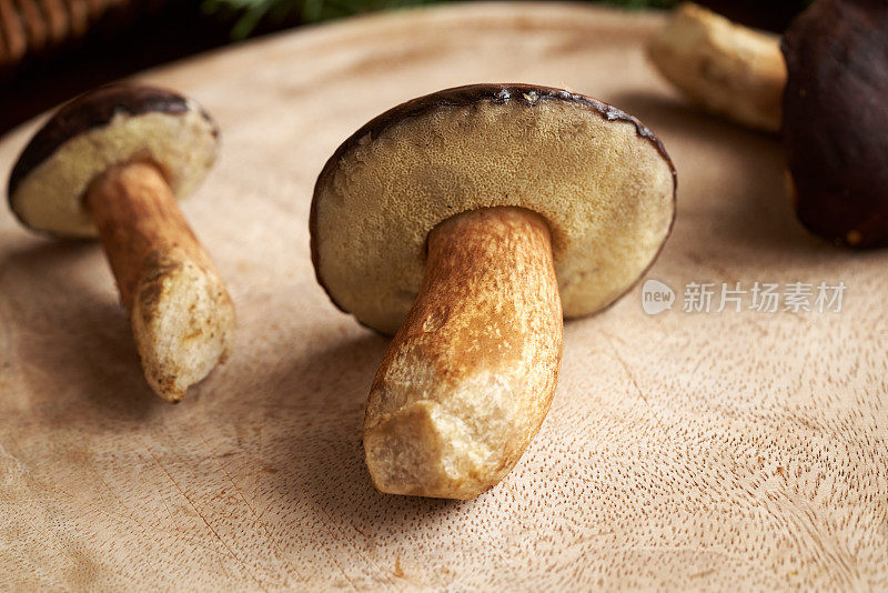 木桌上的新鲜松茸——野生食用菌