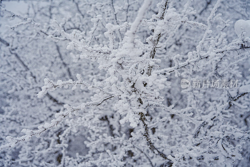 山上的硬霜(雪晶)