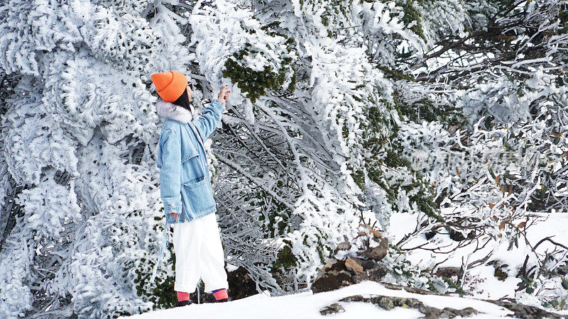 一个女人在寒冷的天气里穿行于白雪覆盖的山林之中