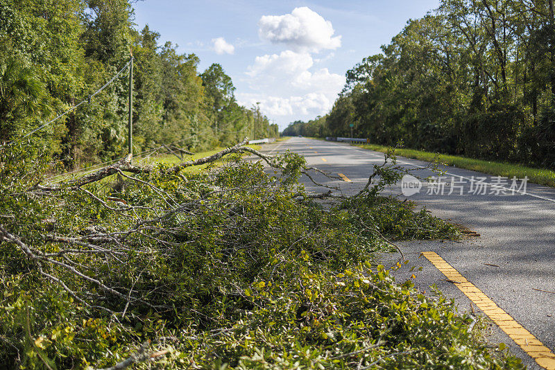 风暴袭击了北佛罗里达高速公路:倒下的树木和高速公路停电的后果