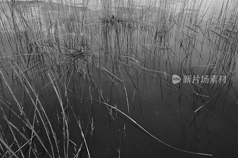 瓦雷泽湖