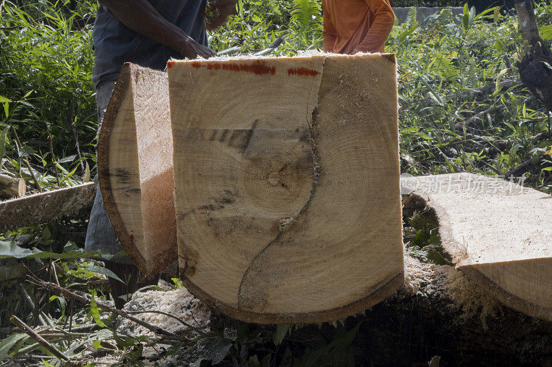 木匠和助理测量木材-库存照片