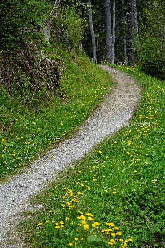 一条穿过山脉、草地和湖泊的小径。穿过草地的小径。奥地利春天的步道。一条在山中行走的小路。沿着湖的步道。