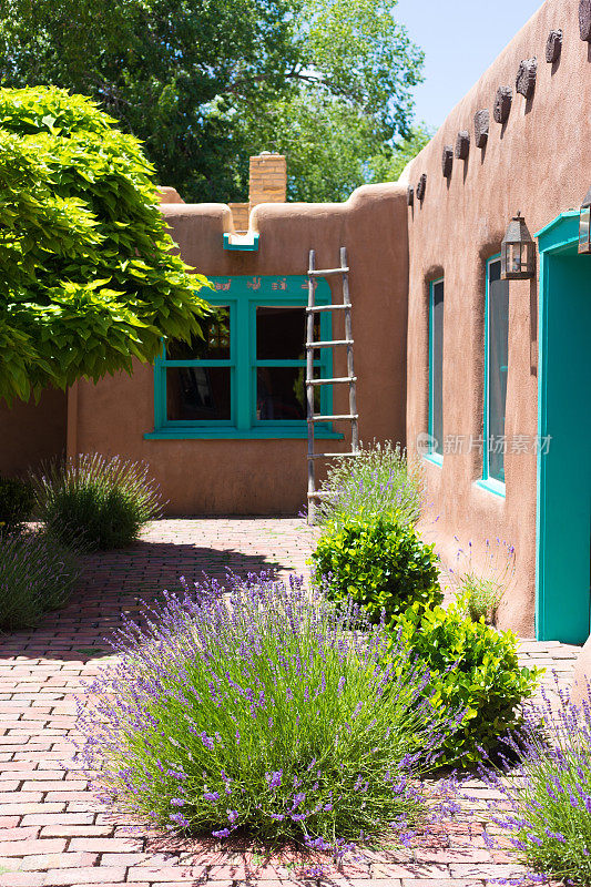 圣达菲，新墨西哥州:古老的土坯房庭院与薰衣草