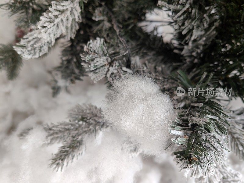 白雪覆盖的圣诞树