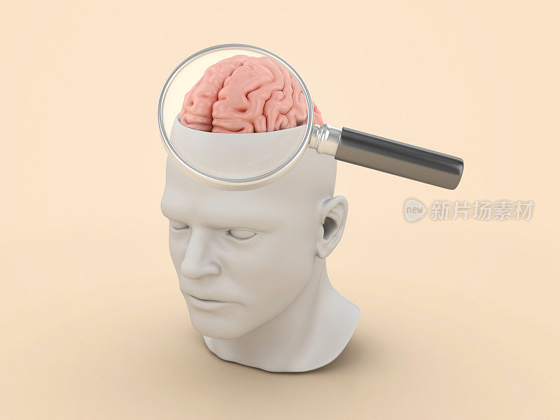 3D人头与大脑和放大镜