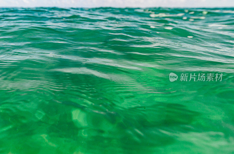 海洋风景优美，水下有海天浪，海滩有佛罗里达棕榈滩