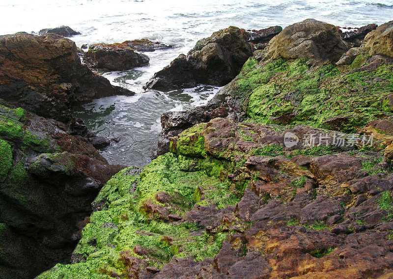 潮间带水坑岩石