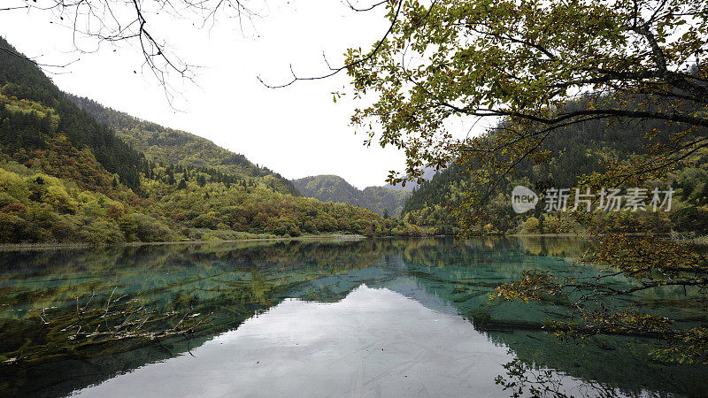 中国九寨沟国家公园的一个湖泊