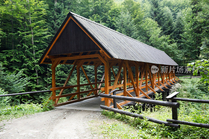 木桥穿过峡谷