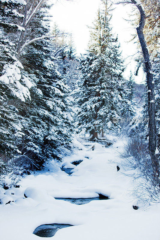 冬初雪，拉鲁溪清新的山溪