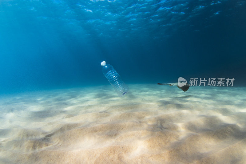 塑料污染影响海洋生物