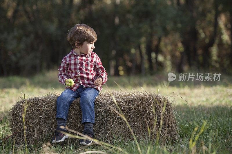 小男孩坐在地里的干草捆上