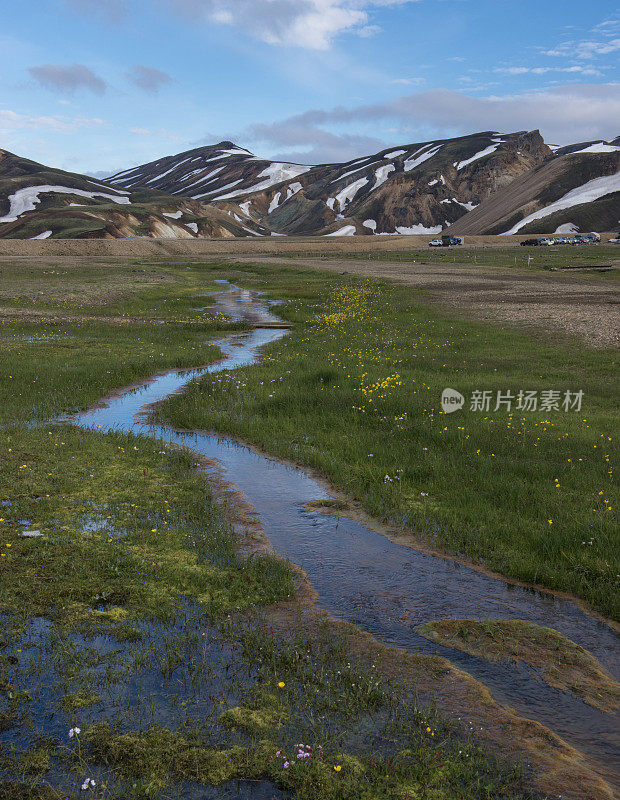 冰岛，Landmannalaugar河山脉和野花