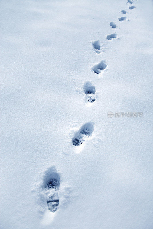 雪地里的脚印