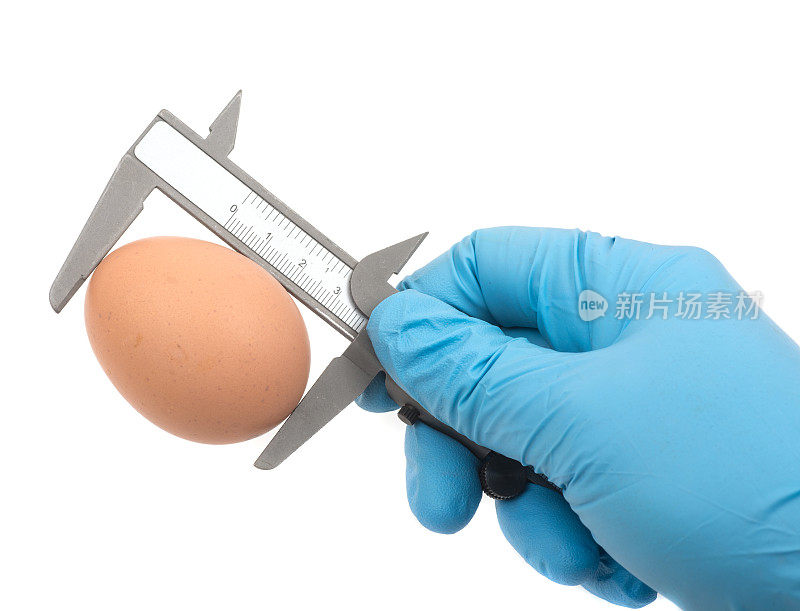 鸡蛋大小的测量