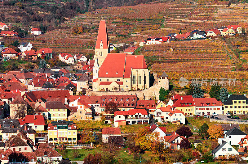 奥地利瓦肖山谷Weissenkirchen周围葡萄园的秋天