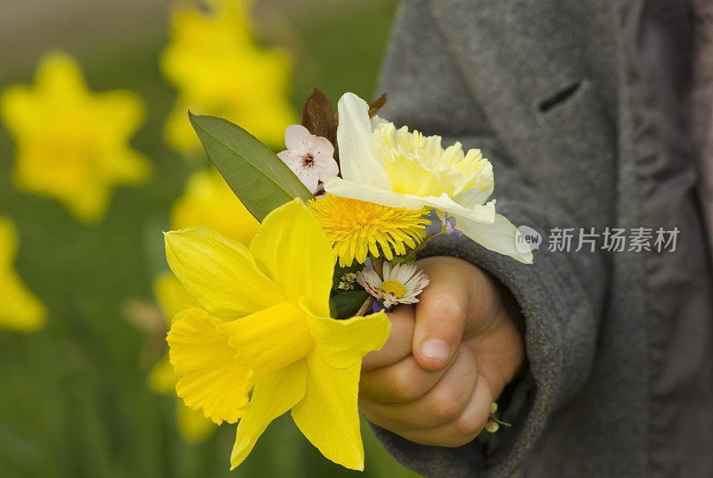 给我妈妈一束春天的花