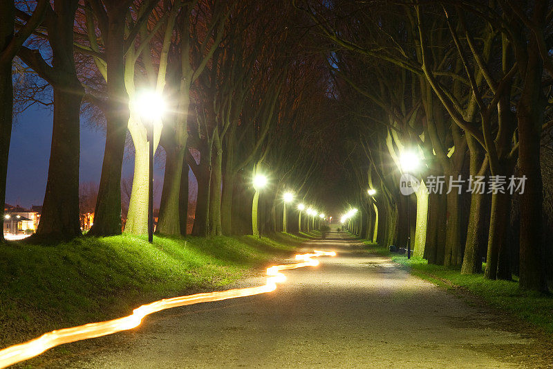 乡间道路夜间