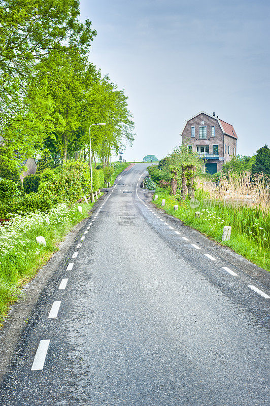 典型的荷兰房子，街道和自行车道
