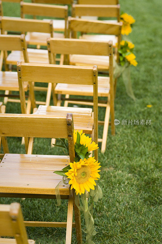 草坪上婚礼椅上的向日葵和缎带装饰