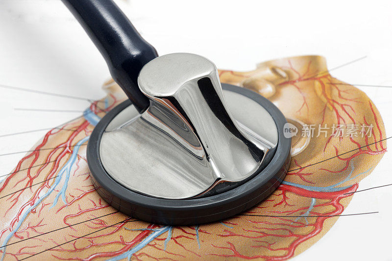 听诊器和心脏静脉的图片