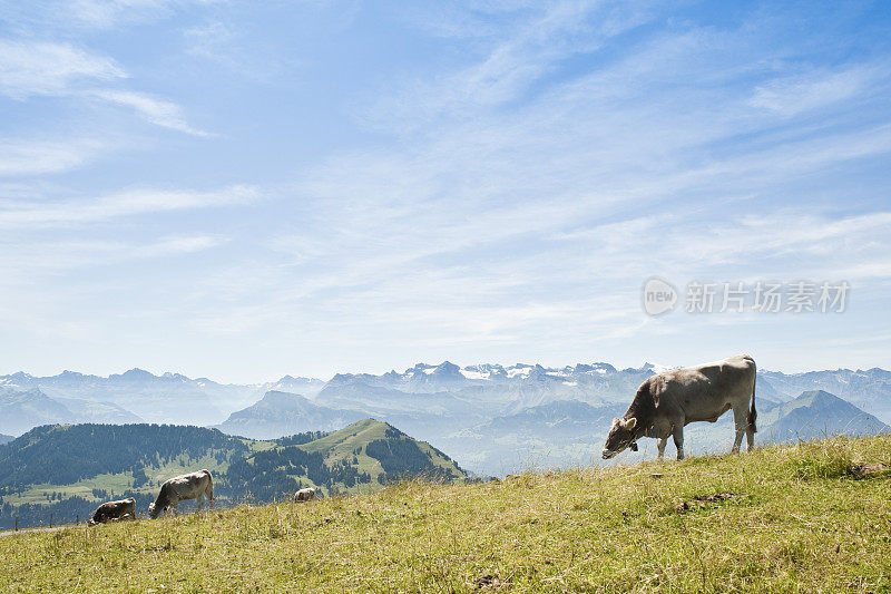 Rigi,瑞士