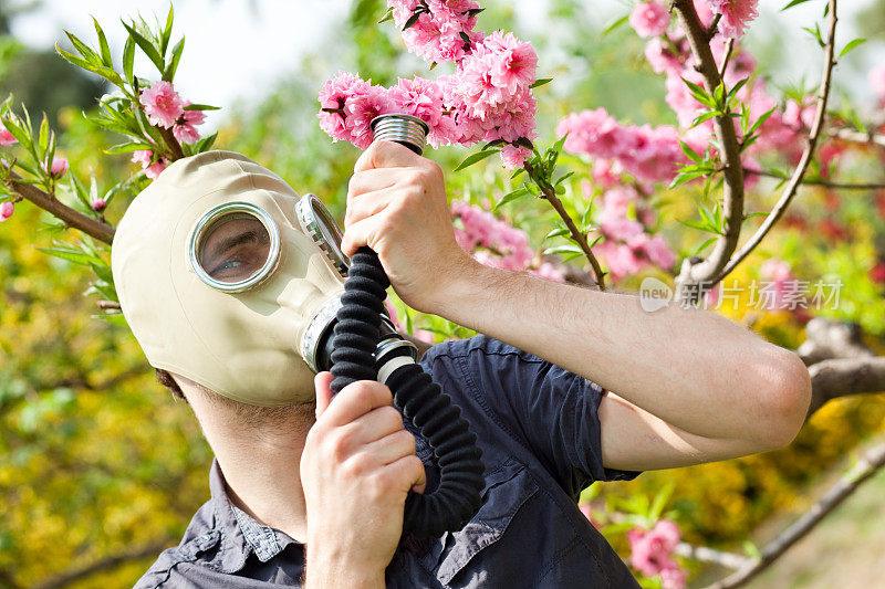 过敏季节