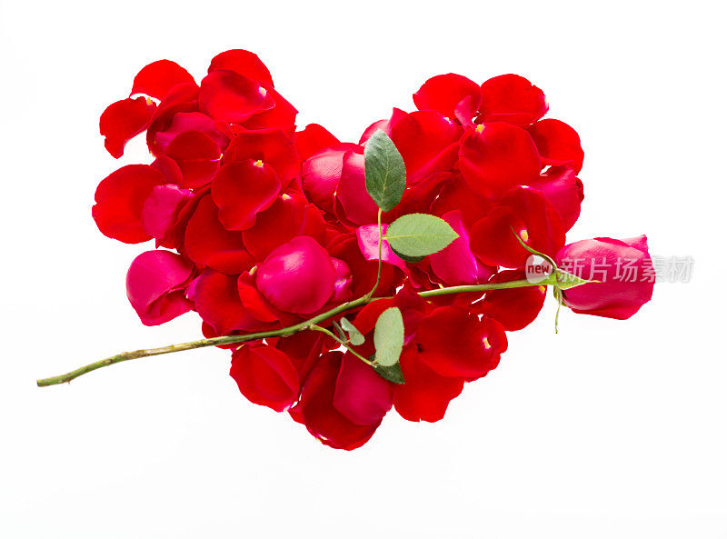 心形的红玫瑰花瓣
