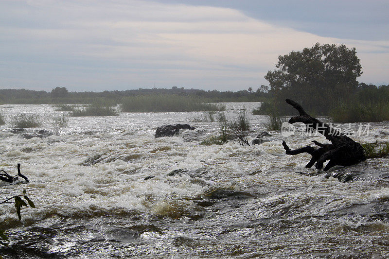 赞比亚:维多利亚瀑布附近的急流