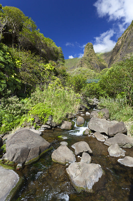 岛针和河，毛伊岛