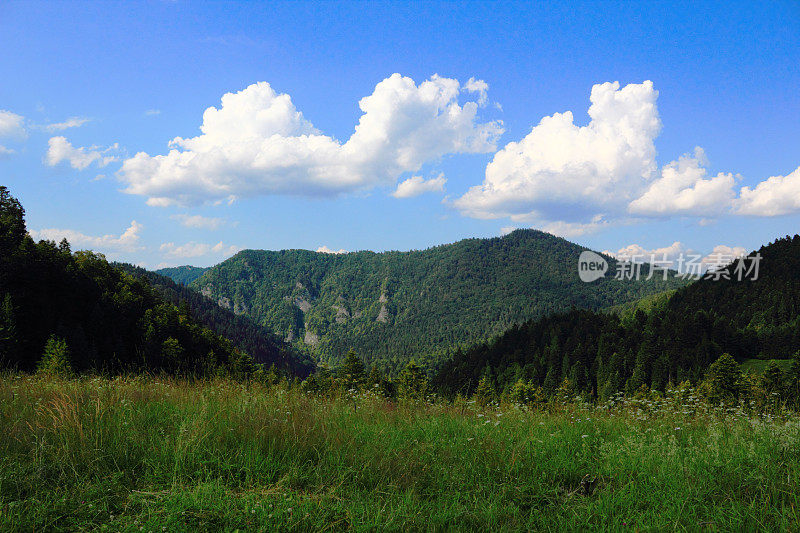 夏天在山脉。Pieniny,斯洛伐克。