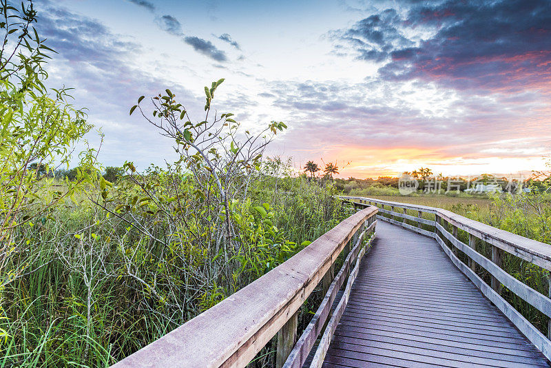 美国Everglades国家公园Anihinga步道上的木板路