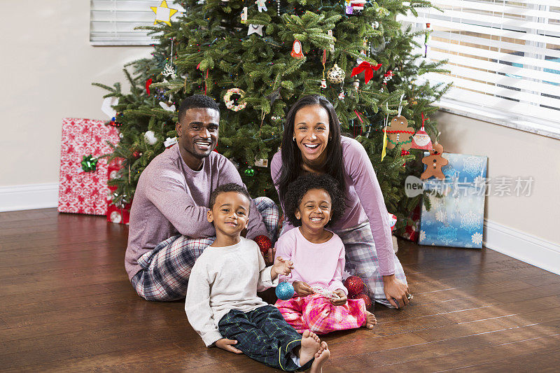 非裔美国人全家福，坐在圣诞树前