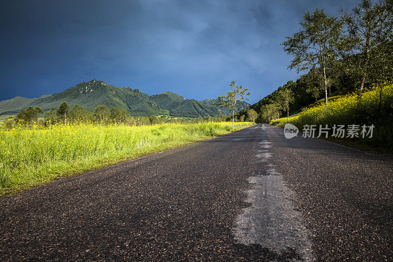 这条乡间小路穿过油菜田