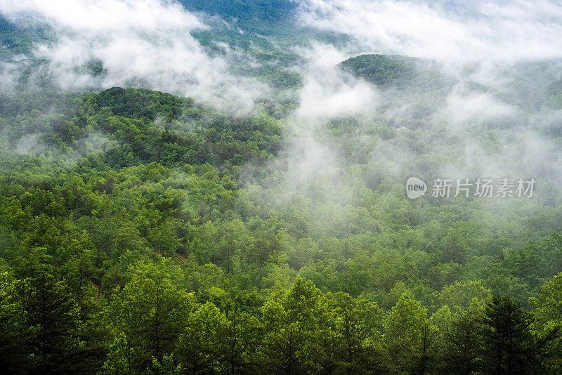 迷雾笼罩着群山