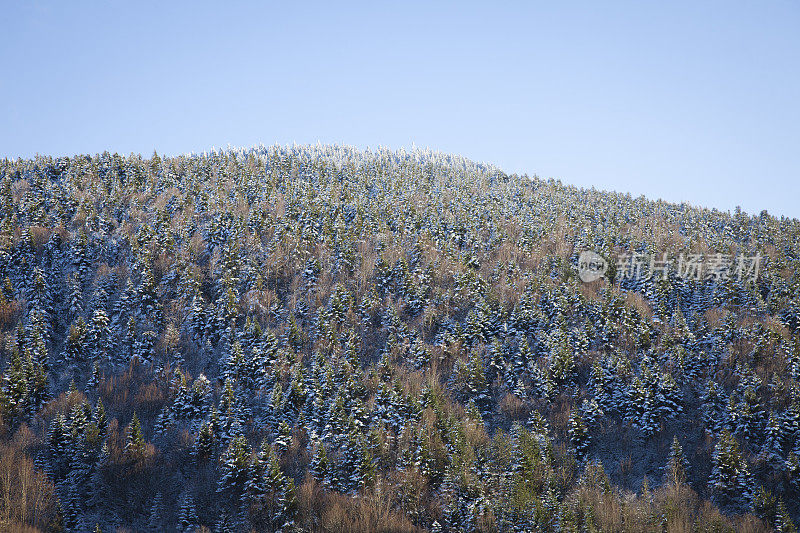 阿尔卑斯山的冬季仙境