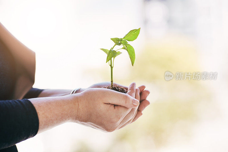 这是一切开始的地方