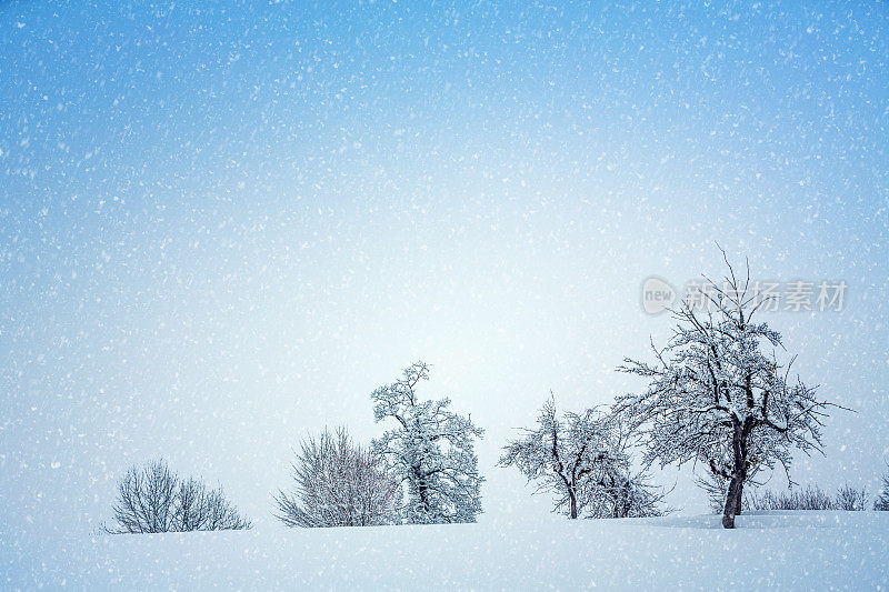 降雪