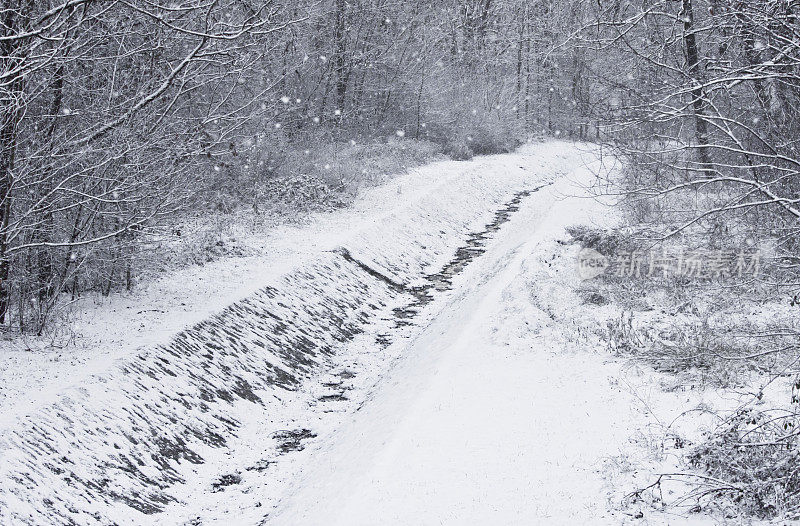 森林里的雪川流不息