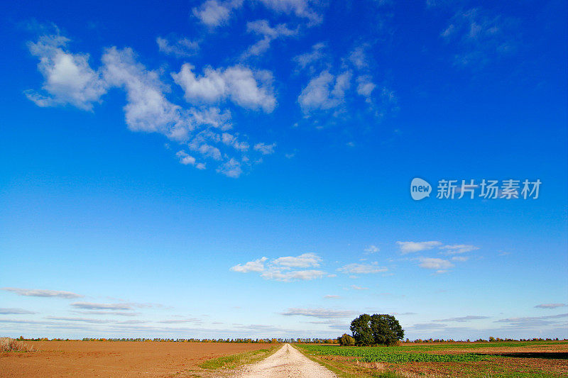 在秋天的蓝天下穿过农田的土路