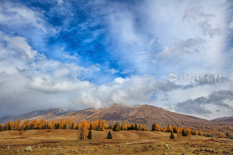 秋季景观喀纳斯湖地区，新疆，中国