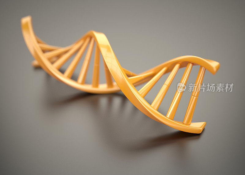 橙色的DNA结构