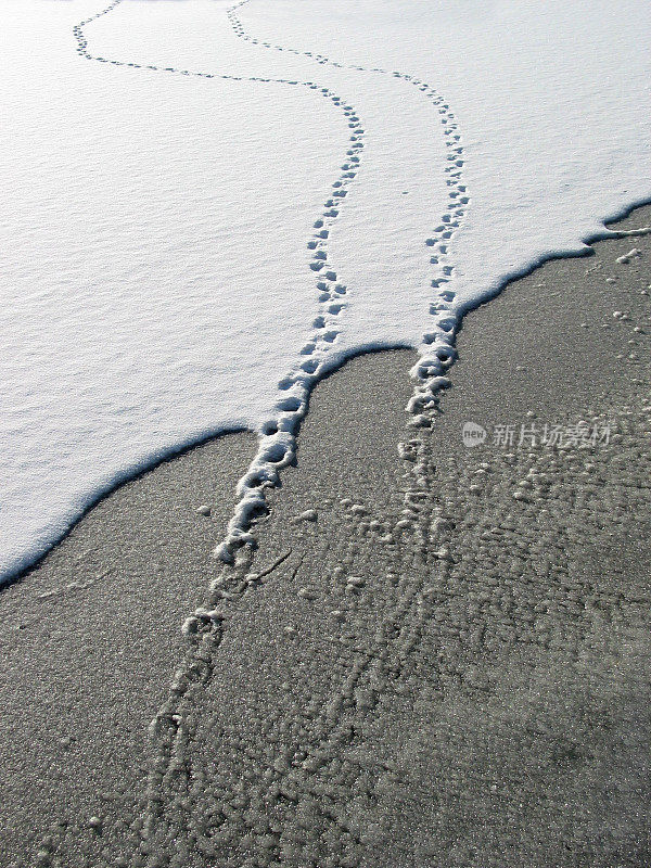 结冰的湖面上有冰雪