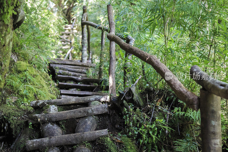 智利巴塔哥尼亚的普马林公园，Tronador湖附近的人行道上的木楼梯