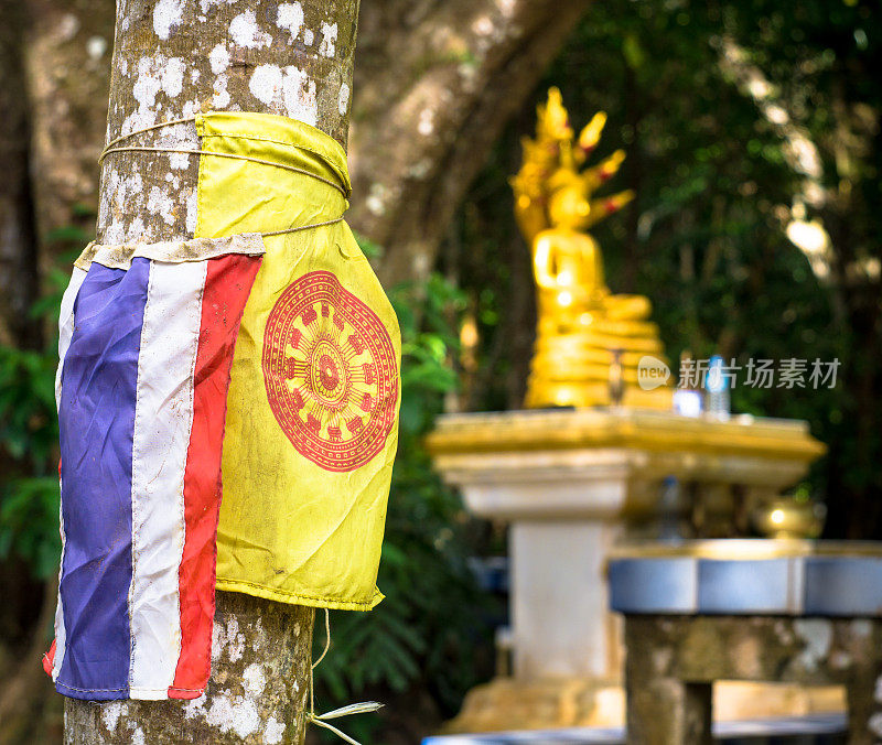 佛教树木保护与泰国国旗