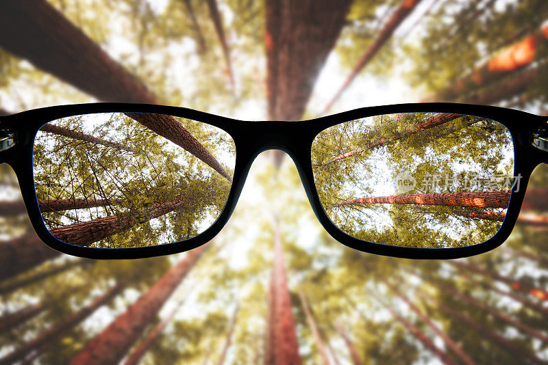 聚焦森林的眼镜