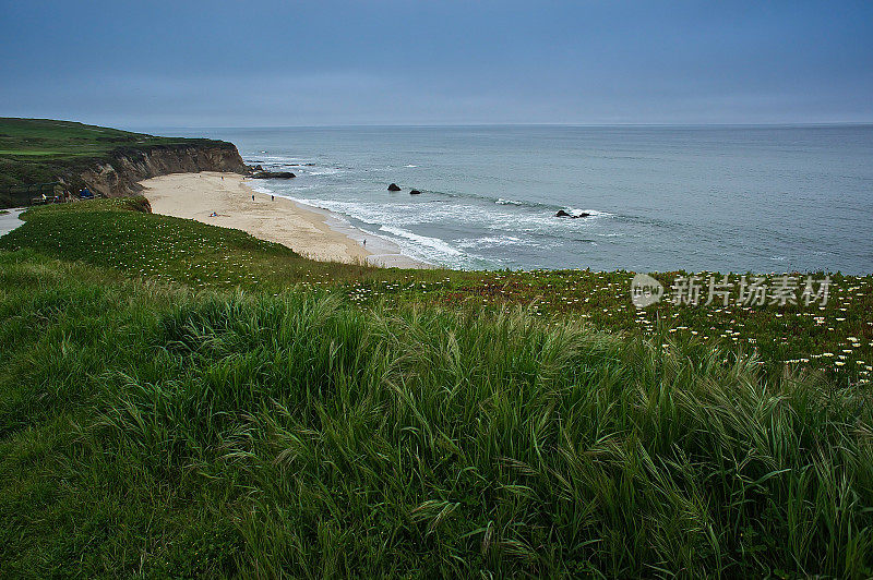 考威尔牧场海滩